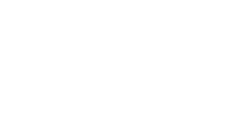 Lefty Brown'un Türküsü