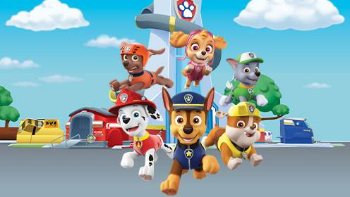 Paw Patrol S06 B07